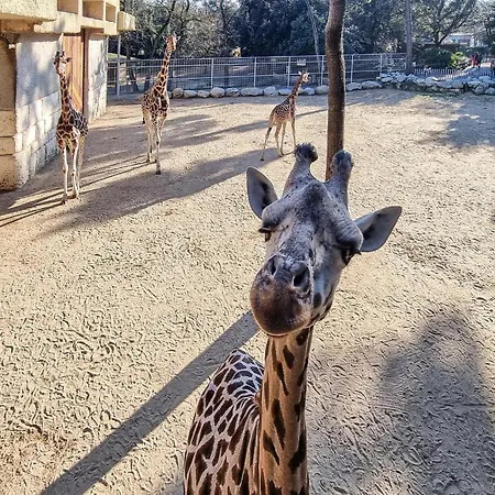 Front In Saint-georges-de-didon