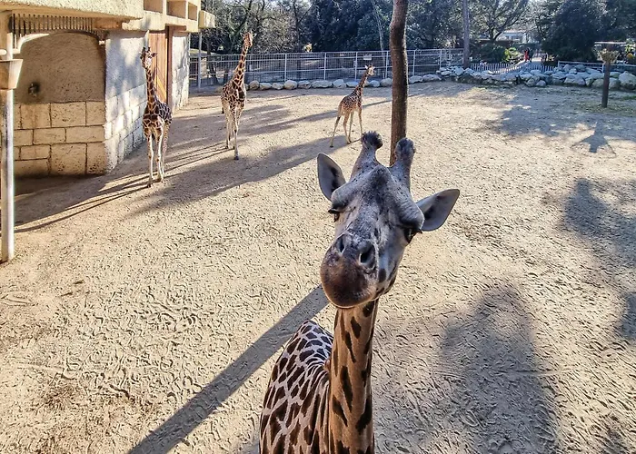 Front In Saint-georges-de-didon